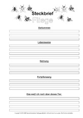Fliege-Steckbriefvorlage-sw.pdf